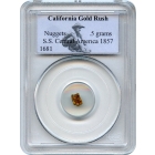 Gold Nugget - 1857 California Gold Rush 0.5 grams PCGS Ex.SS Central America (1st recovery)