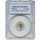 Gold Nuggets - 1857 California Gold Rush 0.4 grams PCGS Ex.SS Central America (1st recovery)