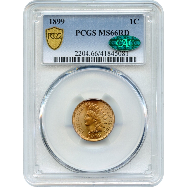 1899 1C Indian Head Cent PCGS MS66RD (CAC) from an original roll-!