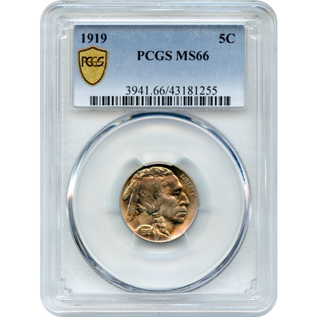 1919 5C Buffalo Nickel, PCGS MS66 - Registry Set Candidate